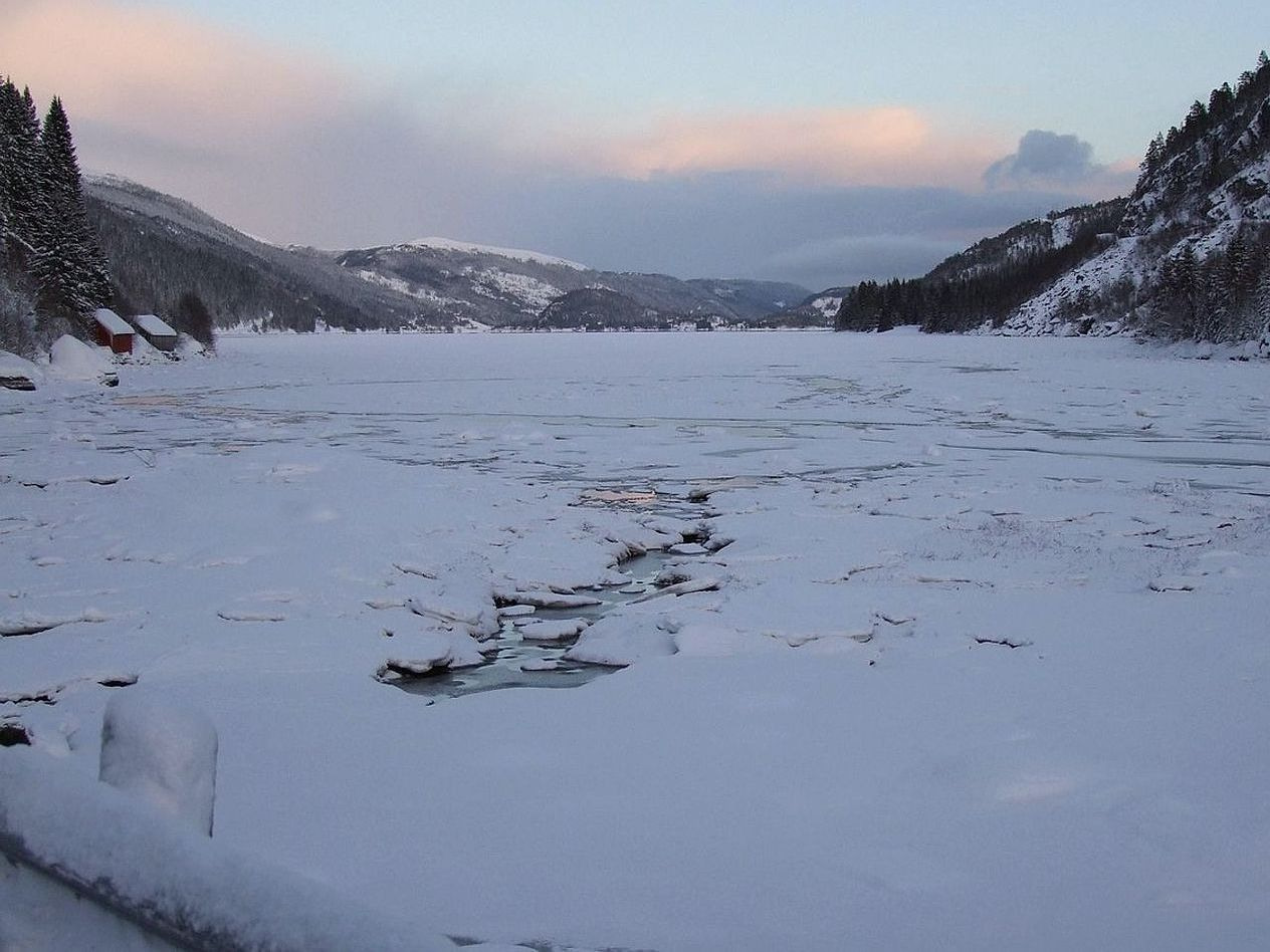 Terra aberta acima da última árvore que encontra a margem do lago de montanha